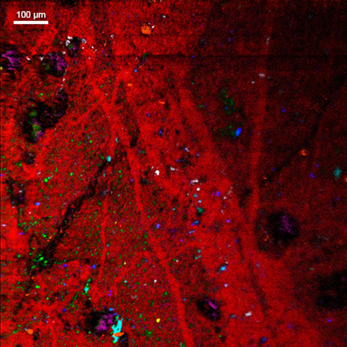 SIMS image of rock surface